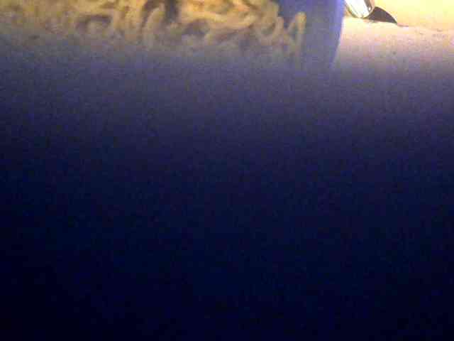 Browny-snacky webcam