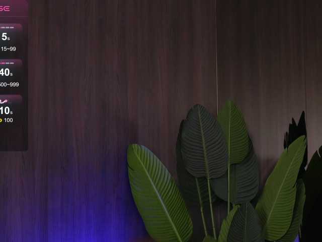 EvaMo0n's BongaCams show and profile