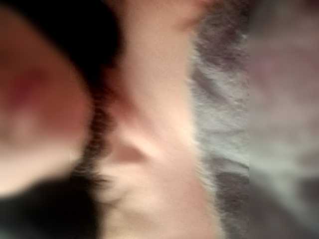 Nightcat – webcam model profile photo