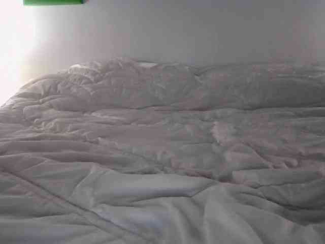 Nightcat webcam
