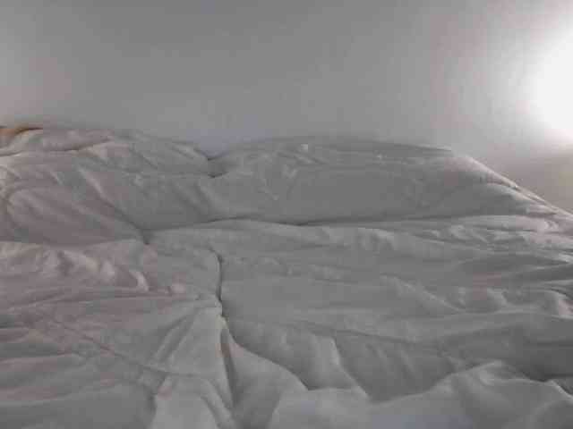 Nightcat webcam