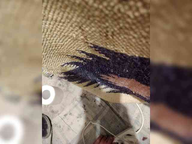 Mitya165 Live Webcam on BongaCams