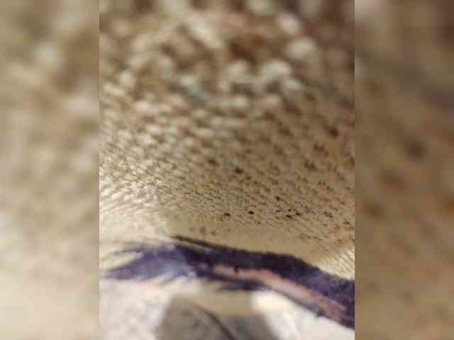 Mitya165 Live Webcam on BongaCams