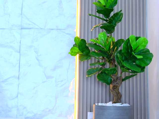 Sarah-Collins's BongaCams show and profile