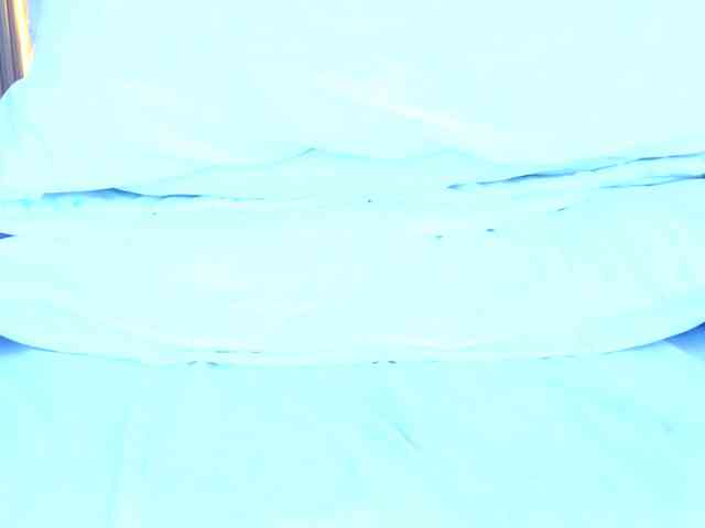 Sarah-Collins webcam