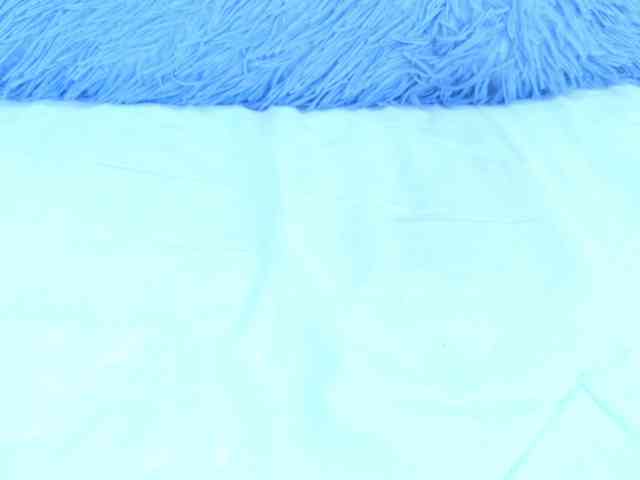 Sarah-Collins webcam