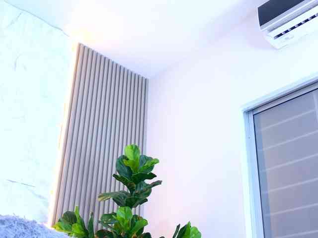 Sarah-Collins webcam