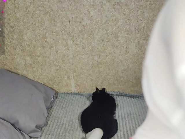 SwettyEllis's BongaCams show and profile