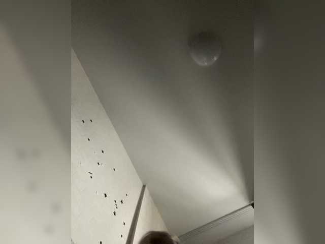 RobinLili – webcam model profile photo