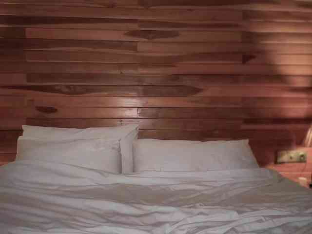 GoddessLaVitaBella webcam