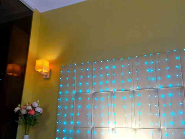 Debbie-Taylor webcam