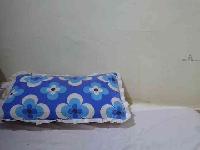 delicacylicious webcam