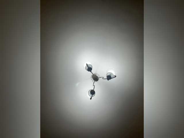 FoxyLina – webcam model profile photo