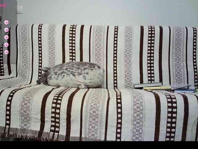 Alise-Shine Live Webcam on BongaCams