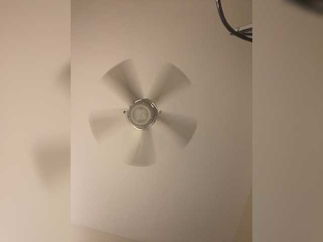 ximora212's BongaCams show and profile