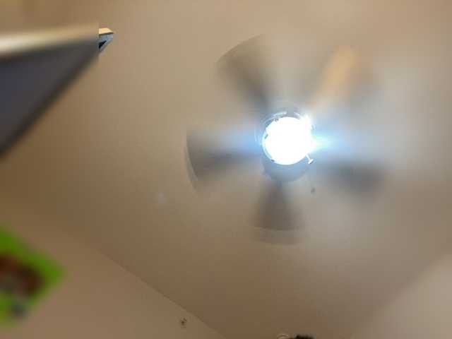 ximora212's BongaCams show and profile