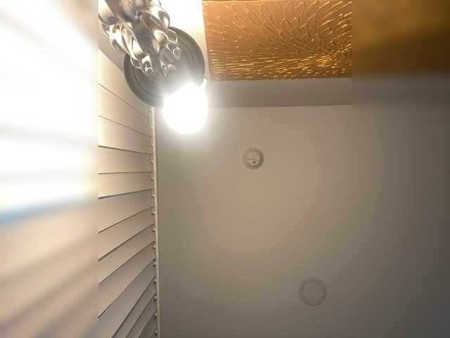 ximora212 from BongaCams