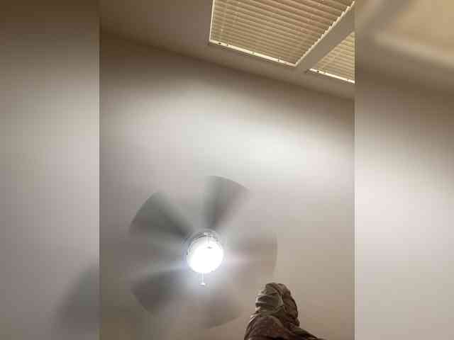 online porn chat room Ximora212