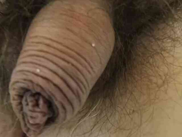 AnalVitaly AnalVitaly