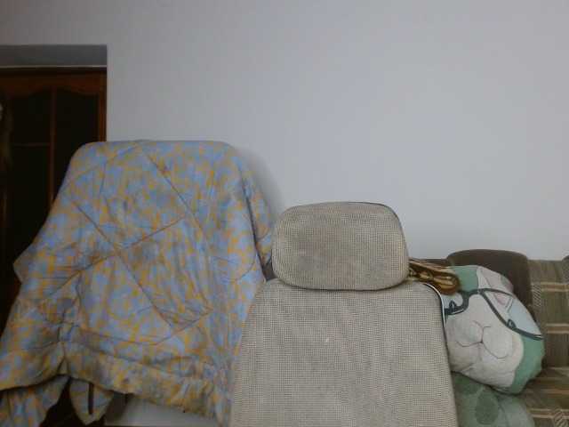 Preview of lunavibe-v