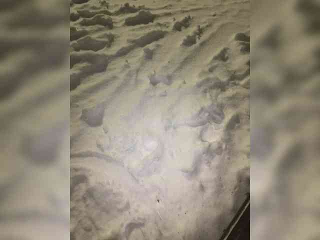 Daisy12321 Live Webcam on BongaCams