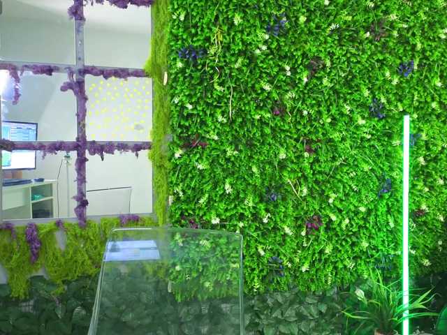 AnaLexus's BongaCams show and profile