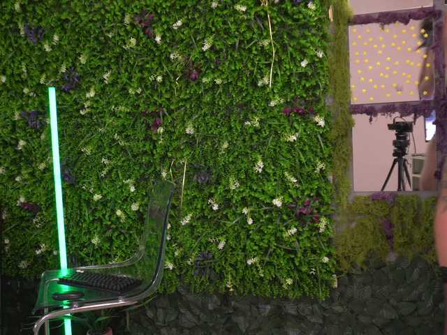 AnaLexus's BongaCams show and profile