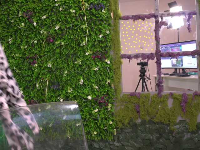 AnaLexus's BongaCams show and profile