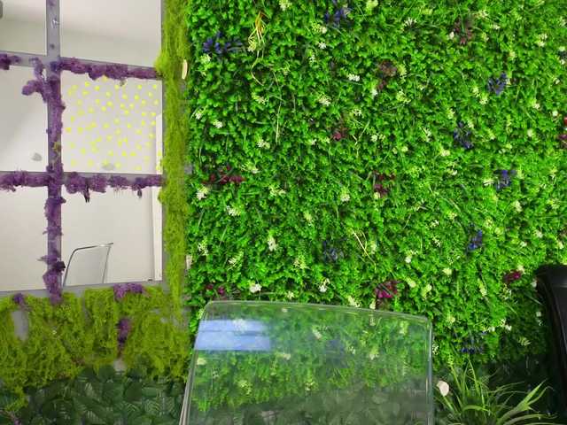 AnaLexus's BongaCams show and profile