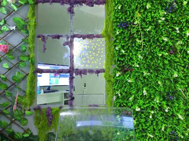 AnaLexus Live Webcam on BongaCams