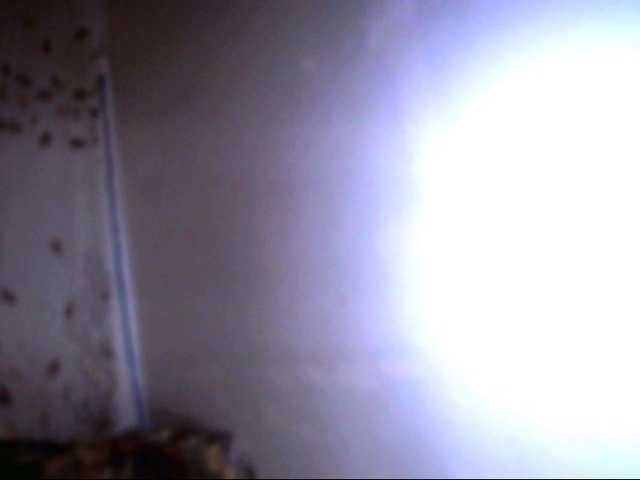 Preview of indiansexyass00