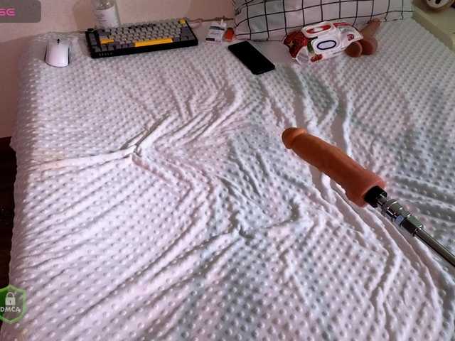 SpaceDanger's BongaCams show and profile