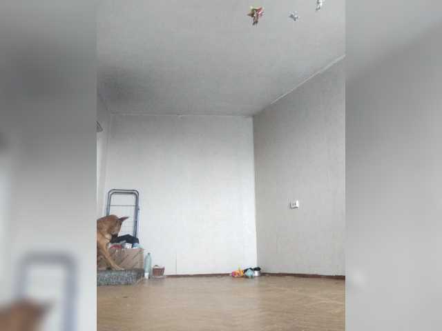 Preview of tpax-b-kucky