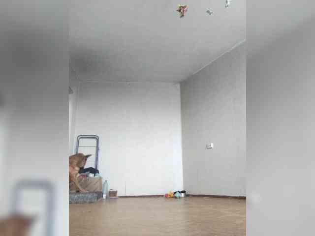 Cekcukyc Live Webcam on BongaCams