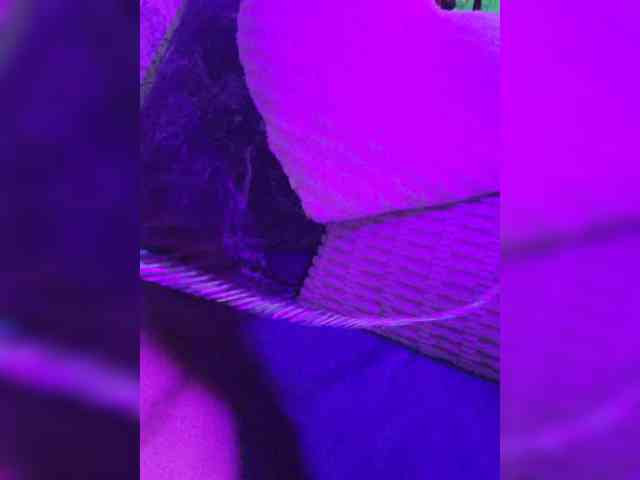 Gentlyplease1 webcam