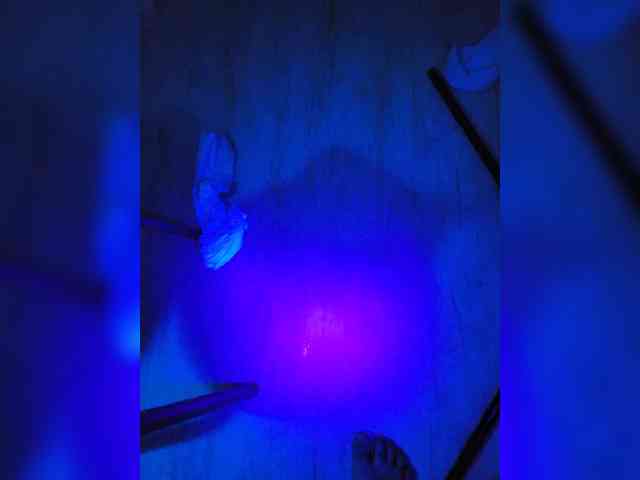 Gentlyplease1 webcam