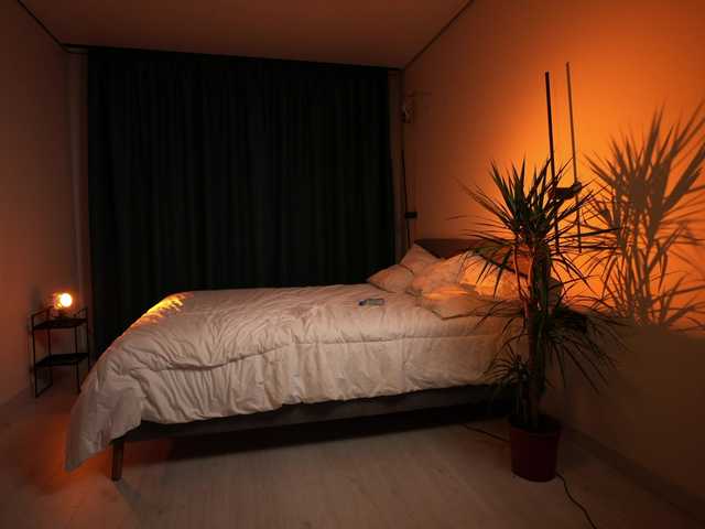 bogduzy's BongaCams show and profile