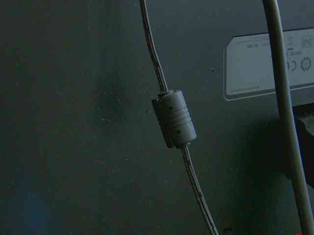 TaniaKarevina webcam