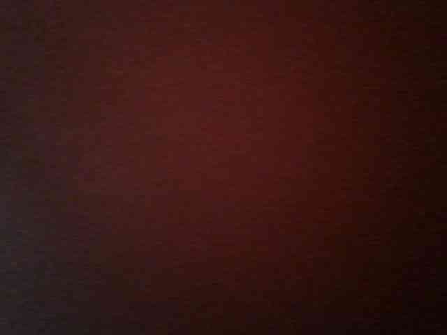 Brunnette-blonde webcam