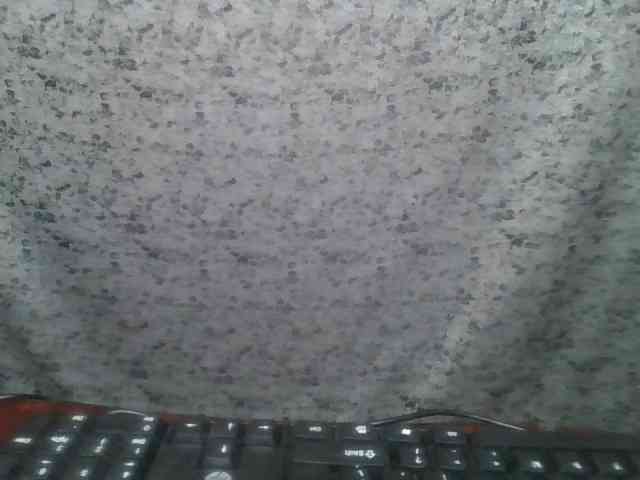 Brunnette-blonde webcam