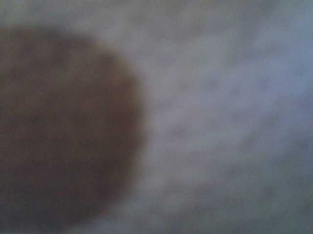 Preview of sweetval1