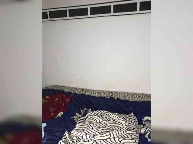 Exotic_sensation_couple webcam