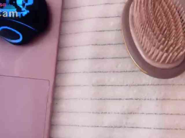 Brilliant-live webcam