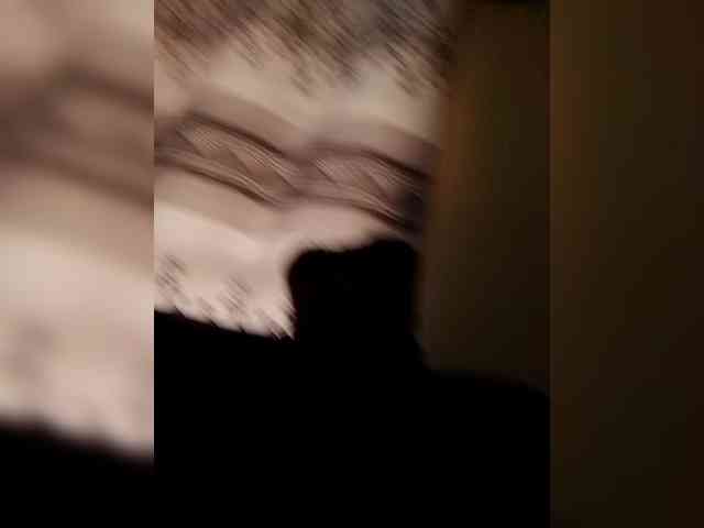 Littleslutdiva webcam