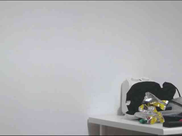 playwithustwo webcam