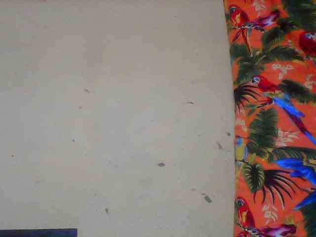 Sthela Live Webcam on BongaCams