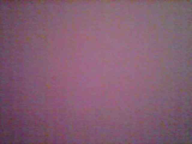 Sthela webcam