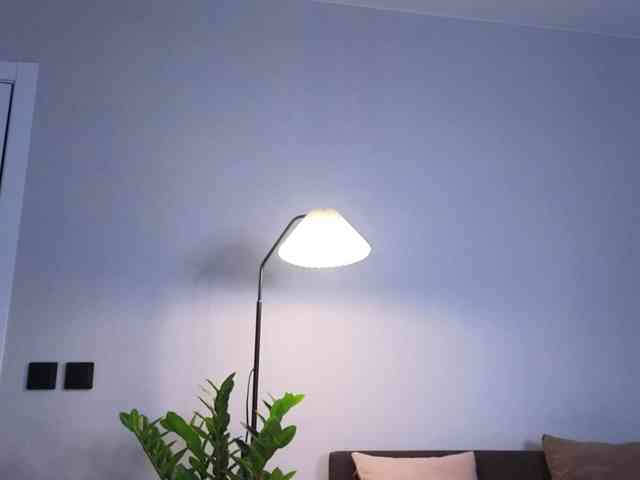 MillaKowal MillaKowal