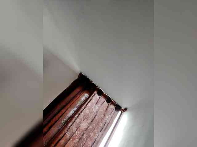 ALICEandCHRIS webcam