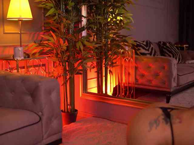 PerfectBootyXO PerfectBootyXO